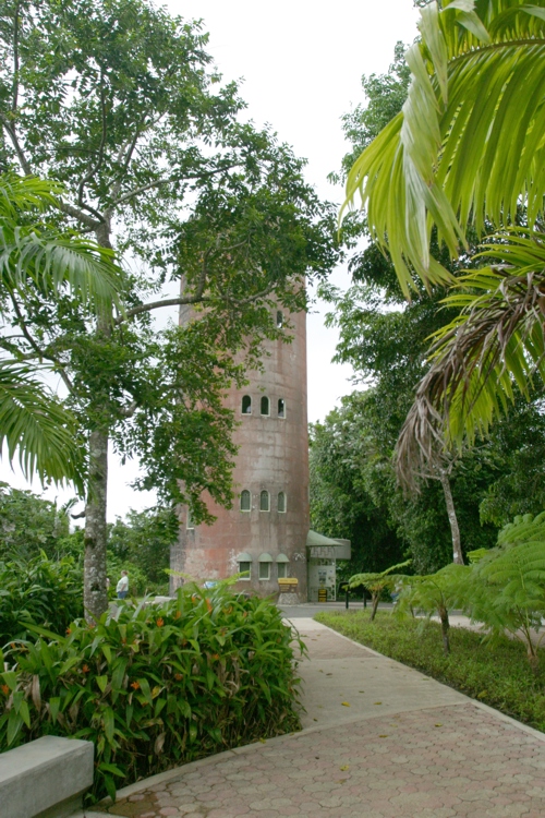 Yokahu Tower - 99 steps to top, great observation 
